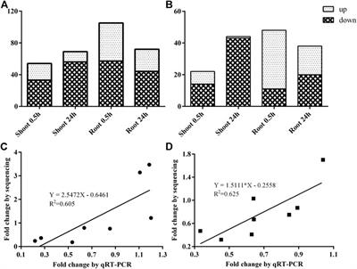 Identification of Nitrogen Starvation-Responsive miRNAs to Reveal the miRNA-Mediated Regulatory Network in Betula luminifera